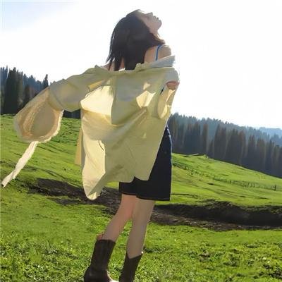 蠢蛋进化论